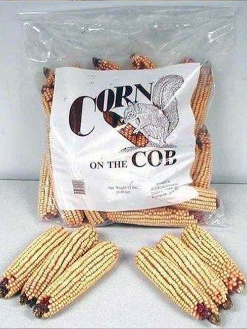 15lb Poly Bag Corn on the Cob Squirrel Feed and Wildlife Feed - Image